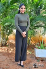 Punarnavi Bhupalam Interview About Pittagoda